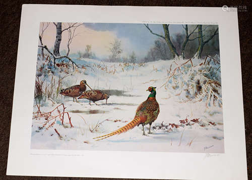 AR John Cyril Harrison (1898-1985) Pheasant and Woodcock in Winter coloured print, published by