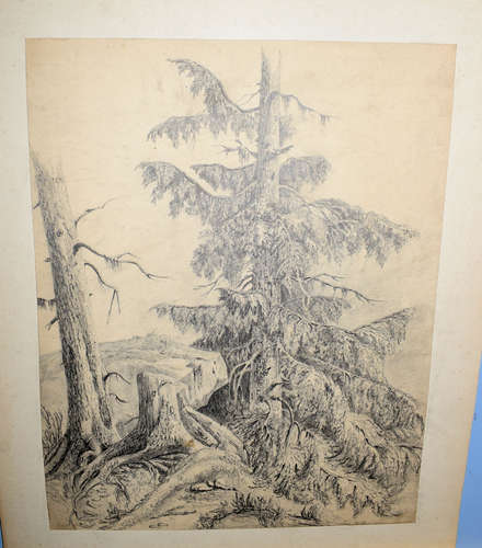 John Crome (1768-1821), 'The Oak', pencil drawing, inscribed verso 