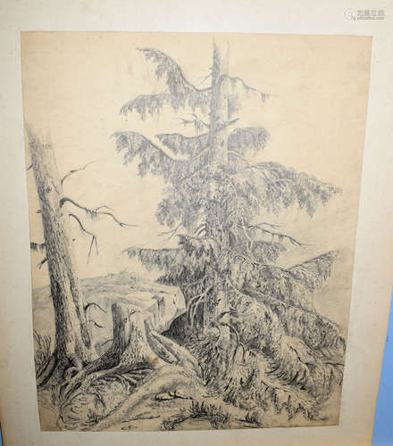 John Crome (1768-1821), 'The Oak', pencil drawing, inscribed verso 