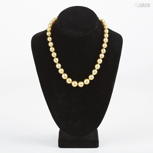 Golden South Sea Pearl Necklace