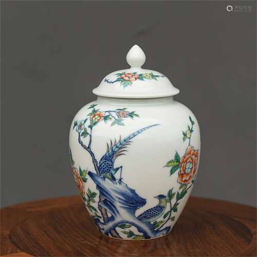 A Chinese Dou-Cai Glazed Porcelain Jar