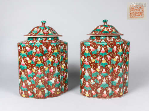 Pairs of Chinese Enameled Porcelain Jar