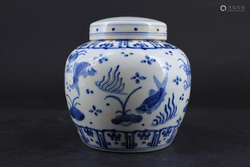 Chinese Ming Porcelain Blue&White Jar …