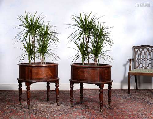 ϒ A pair of rosewood oval jardinieres or planters, mid 19th century