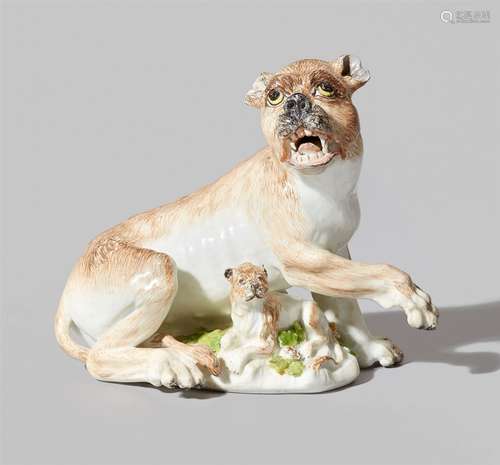 A rare Meissen porcelain model of a lioness and cubA naturalistically painted model of a lioness