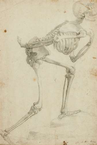 Agnolo Bronzino, attributed toSkeleton, striding leftBlack chalk on paper. 40 x 27.5 cm.Inscribed