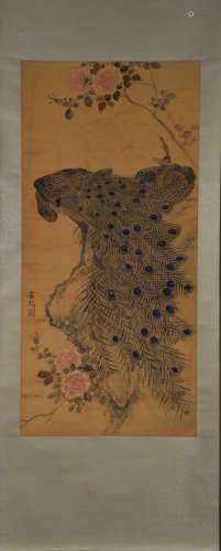 A Chinese peacock Painting Silk Scroll, Zhang Poqi Mark