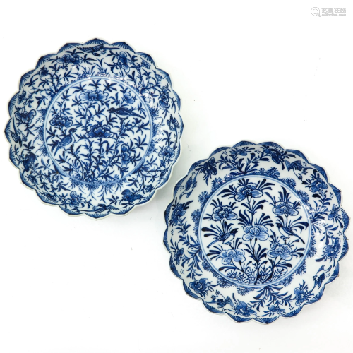 Two Blue and White Plates