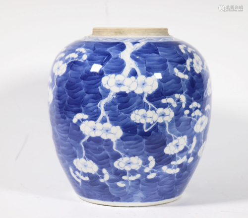 Chinese 19 C Blue & White Porcelain Hawthorn …