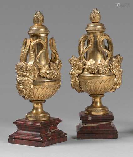 Pair of covered baluster shaped vases on a gilt br…