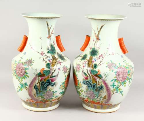 A LARGE PAIR OF CHINESE PORCELAIN BULBOUS VASES, painted with birds and flowers.