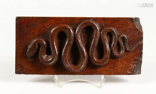 A ONE PIECE CARVING OF A SNAKE ON AN OAK PANEL. 9.5ins long.