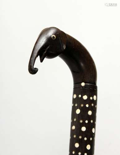 A CEYLONESE ELEPHANT HEAD WALKING STICK. 33ins long.