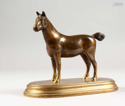 A CAST BRONZE MODEL OF A HORSE, on an oval base. 5.75ins long.