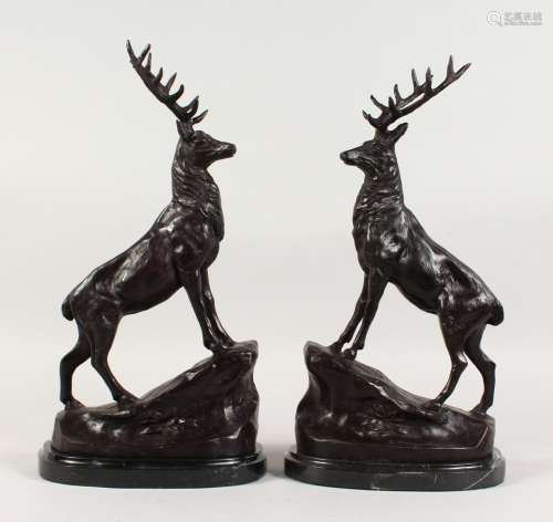 AFTER JULES MOIGNIEZ (1835-1894) FRENCH A GOOD PAIR OF BRONZE STAGS, on naturalistic bases with