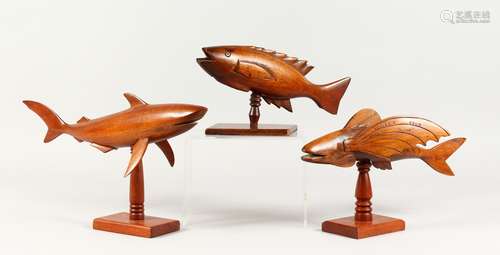 THREE PITCAIRN ISLAND CARVED FISH ON STANDS. Largest: 16ins long.