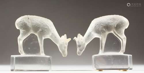 A PAIR OF LALIQUE SMALL STANDING DEER, signed to the rectangular base. 3ins high.