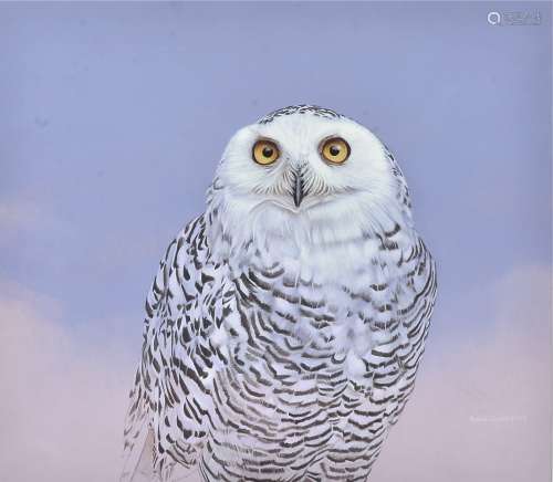 A contemporary Andrew Cowdell gouache on paper, depicting a snowy owl, signed and dated (lower