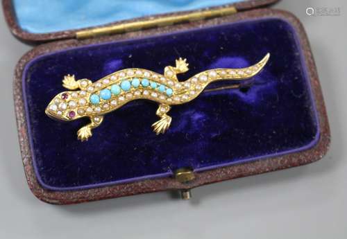 An Edwardian yellow metal(stamped 15), turquoise and seed pearl set lizard brooch, with gem set