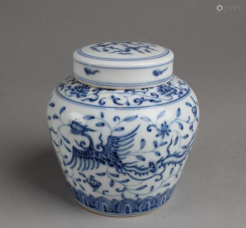 Chinese Blue & White Porcelain Jar