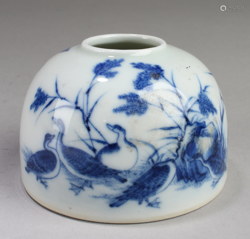 Chinese Blue & White Porcelain Ink Wash