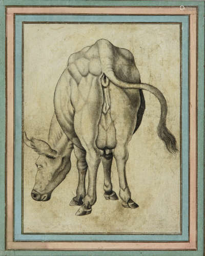 A GRAZING COW, QAJAR, IRAN, 19TH CENTURY