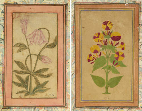TWO MINIATURES DEPICTING FLOWERS, INDIA, DECCAN, 17TH-18TH CENTURY