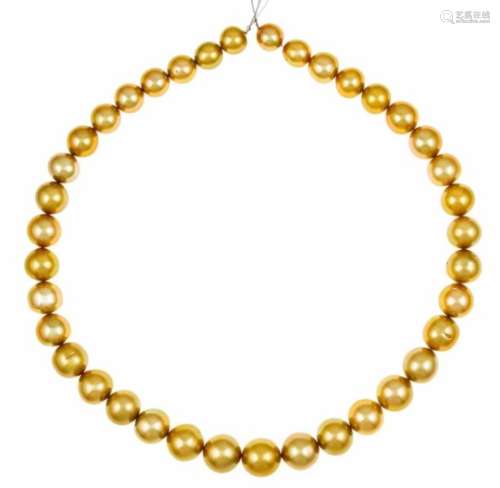 Hank of South Sea Pearls with 38 very fine natural gold South Sea pearls 12.7 x 9 mm withvery few