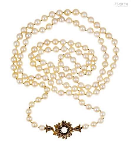 Akoya necklace with buckle GG 750/000 with an Akoya pearl 5 mm, cream-white Akoya pearls 6mm, L.