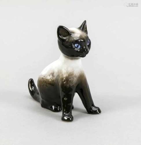 Standing Siamese, Rosenthal, Classic-Rose Collection, mark after 1975, naturalisticallypainted in