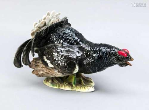 Blackcock, Goebel, 1970s, ceramics, u. signed S. Bochmann, model no. CV 118, colored