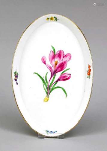 Oval tray, Meissen, mark 1924-34, 2nd quality, polychrome flower painting, gold rim,partly rubbed