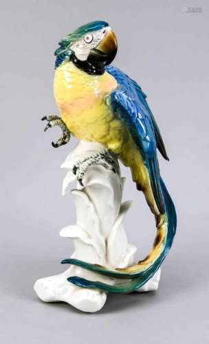 Parrot, Ens, Volkstedt, mill mark 1925-75, model no. 7149, Macaw looking back on a branch,polychrome
