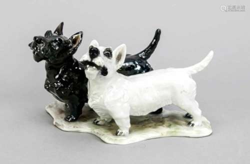 Scottisch Terrier pair, Rosenthal, Selb, 1944, designed by Fritz Heidenreich in 1938,signed, model