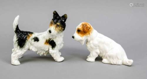 Two Terriers, Karl Ens, Volkstedt, Mill mark 1925-75, one sitting, L. 14 cm, one standing,L. 15
