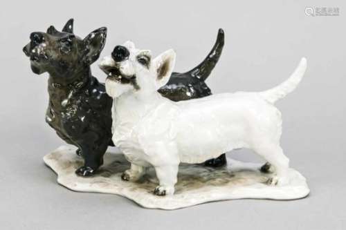 Terrier pair, Rosenthal, Selb, 1944, designed by Fritz Heidenreich in 1938, signed, modelno. 1688,