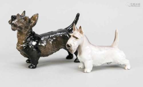 Two Scottish Terriers, Rosenthal, black terrier, mark after 1957, designed by Heidenreich,L. 14