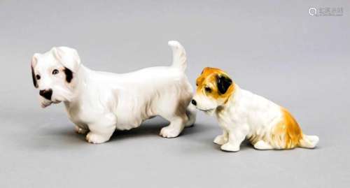 Two Dogs, 20th C., Sitting Terrier, Ens, Volkstedt, Mühlenmrke 1925-75, model no. 6163,