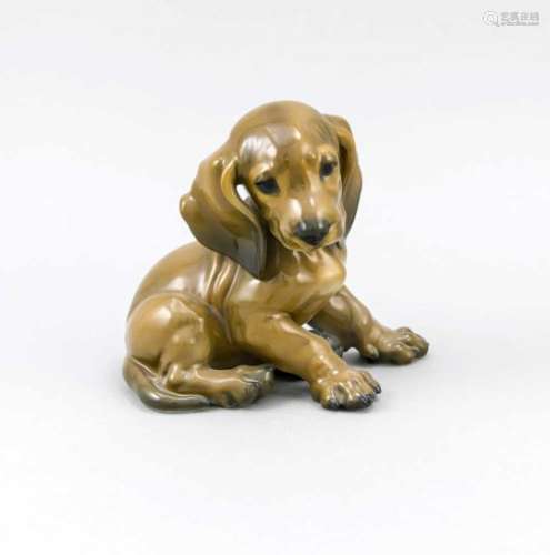 Sitting dachshund puppy, Rosenthal, mark 1934-1956, design Prof. Th. Kärner (born January10, 1884 in