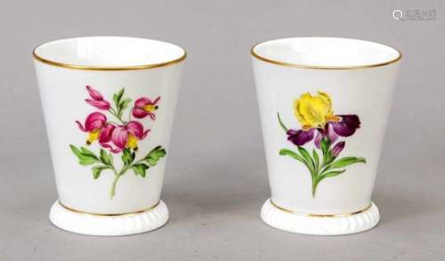 Two friendship mugs ''Romantic Garden of Flowers'', Archiv Verlag collector's edition,Meissen,