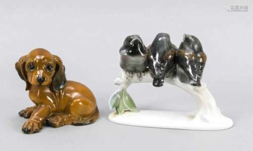 Dachshund and sparrows, Rosenthal, sitting dachshund puppy, after 1975, designed by G.Küster,