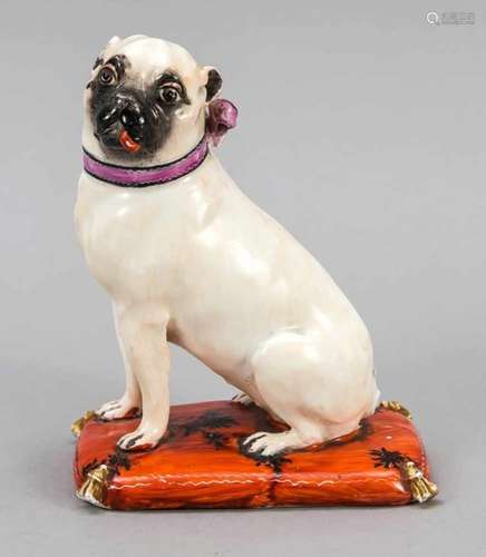 Sitting pug on a pillow, Meissen, 18th / 19th century, designed by Johann Joachim Kändler,around