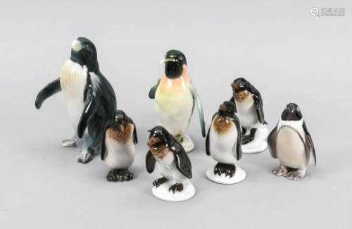 Seven Penguins, 20th C., 4 Penguins, Rosenthal, after 1957, designed by Karl Himmelstoss,H. 8-9