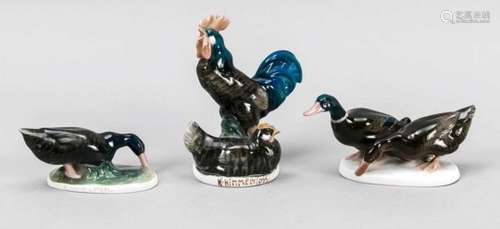 Three bird figures, Rosenthal, Selb, art department, designs by Karl Himmelstoss, signedin the base,