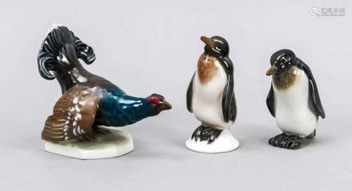 Three bird figurines, Two penguins, Rosenthal, Selb, mid-20th century, naturalisticdepiction of