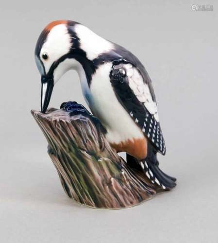 Woodpecker on a tree branch, Dahl Jensen, Copenhagen, mark after 1925, 1st quality,woodpecker