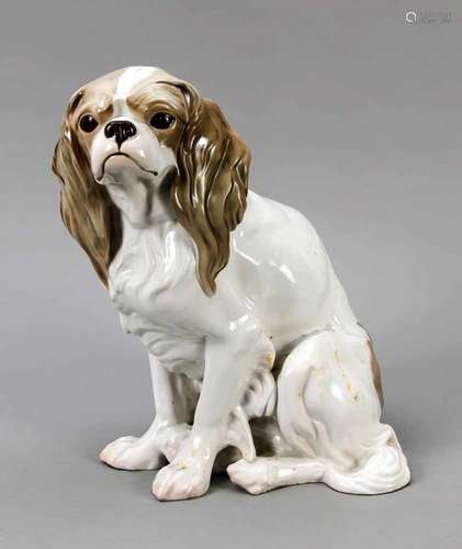 Large King Charles Spaniel, Rosenthal, Selb, 1920s, designed by Dorothea Moldenhauer in1919, model