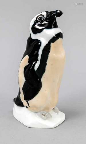 Spectacled penguin, Meissen, mark 1924-34, 1st quality, designed by Paul Walther, in thebase mon.,