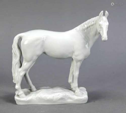 Race horse Halla, Meissen, after 1973, 1st quality, white, designed by Jorg Danielczyk in1978, model