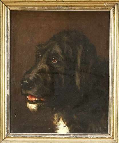Anonymous animal painter of the mid-19th century, portrait of a black dog with a whitebreast, oil on